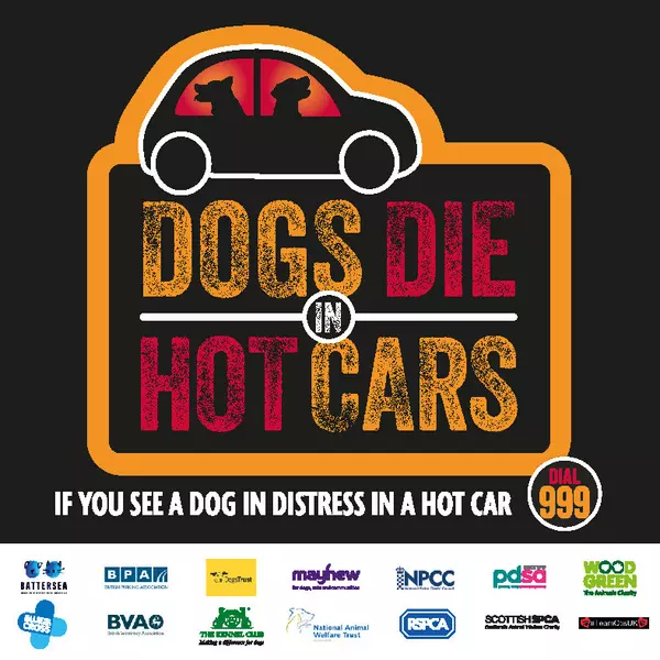 Dogs Die in Hot Cars logo. If you see a dog in distress in a hot car, call 999.