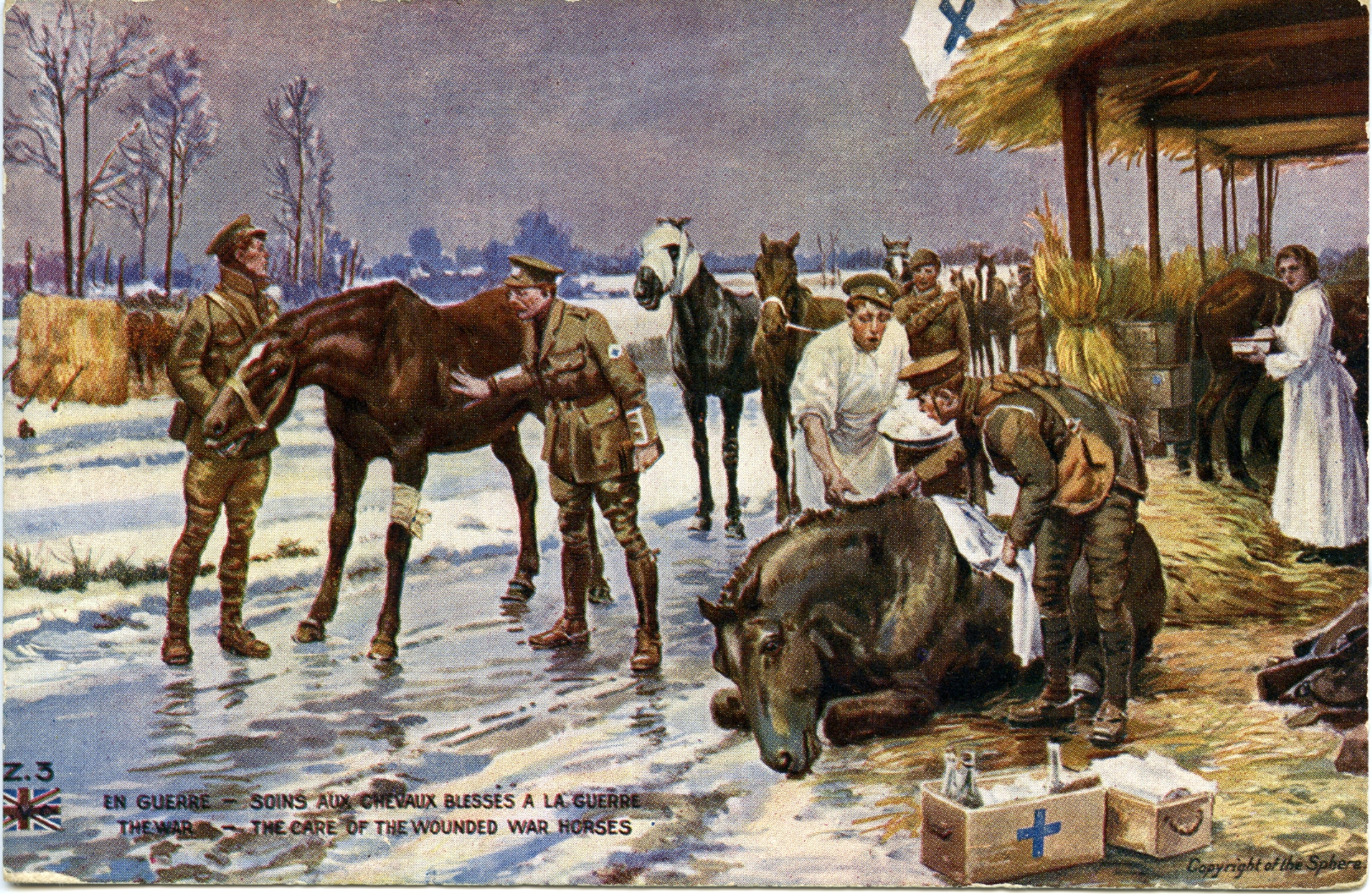 Image shows a painting by Fortunino Matania depicting a Blue Cross field hospital for horses injured in the First World War battlefields
