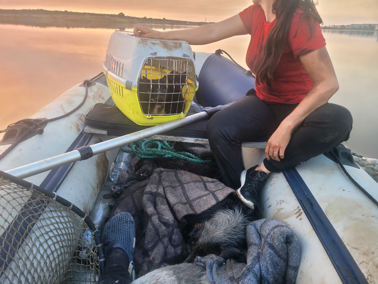 Volunteers rescuing kittens and a dog during flooding in Kherson  