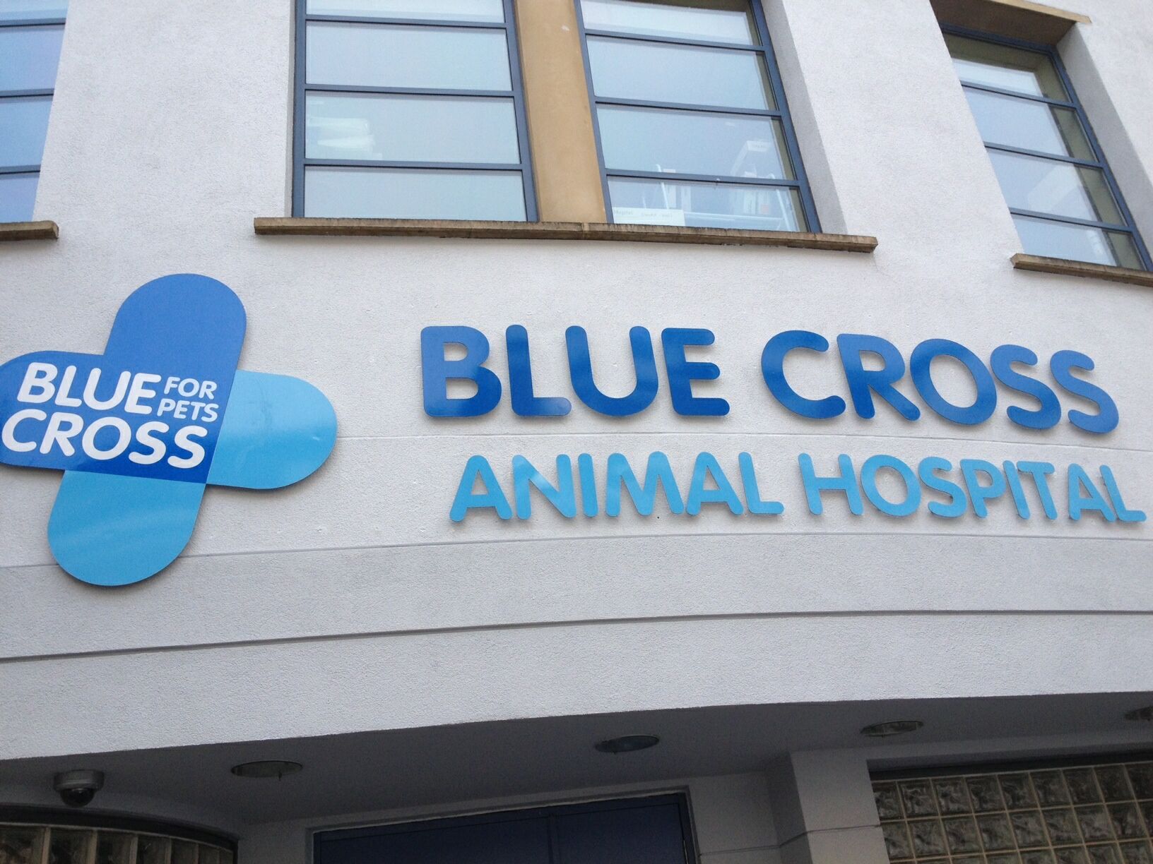 Blue Cross London Victoria Hospital