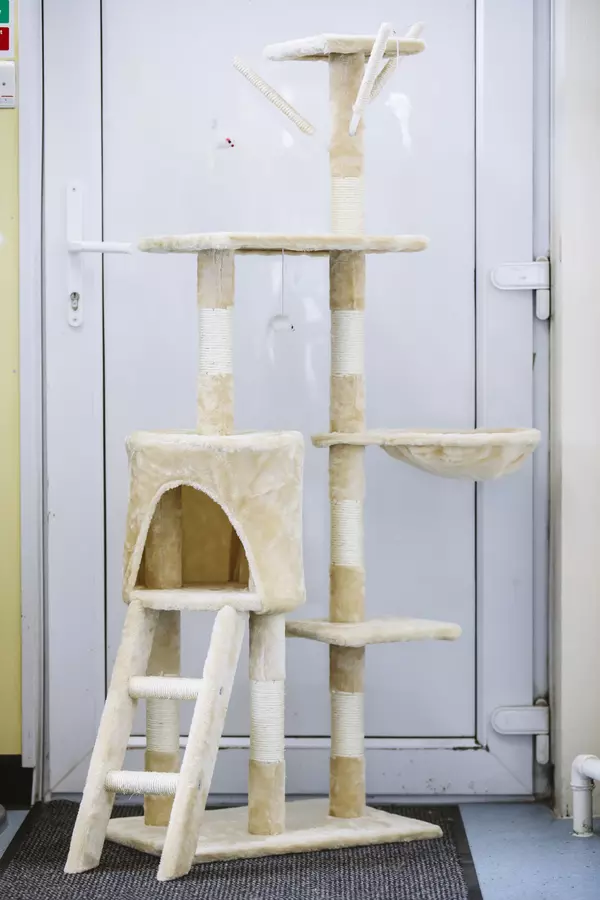 a cat scratch tree with several posts and levels for cats to sit on