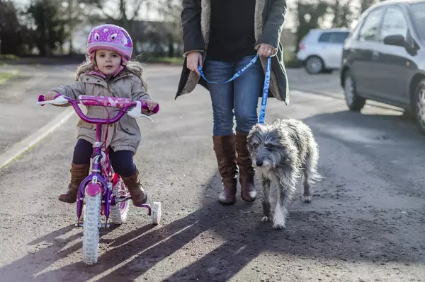 Young girl on a pink bike alongside her grey dog, Diddy