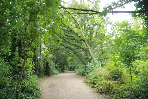 Parkland Walk, Finsbury Park