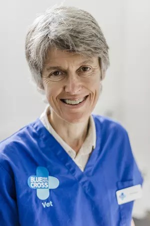 Caroline Reay - Head of Veterinary Services at Blue Cross wearing Blue Cross uniform