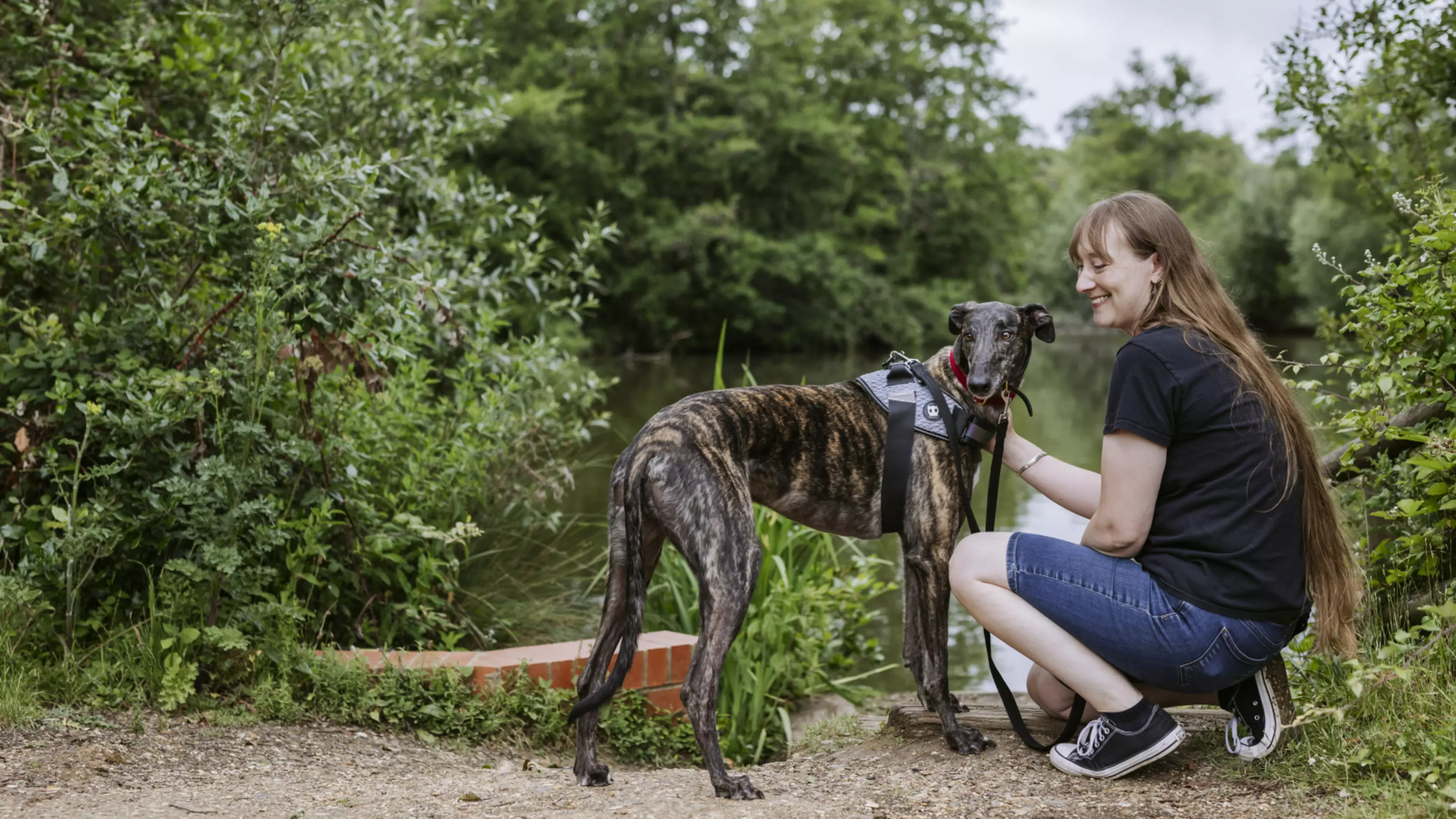 Kit gives greyhound Amos a fuss while on a walk next to a lake