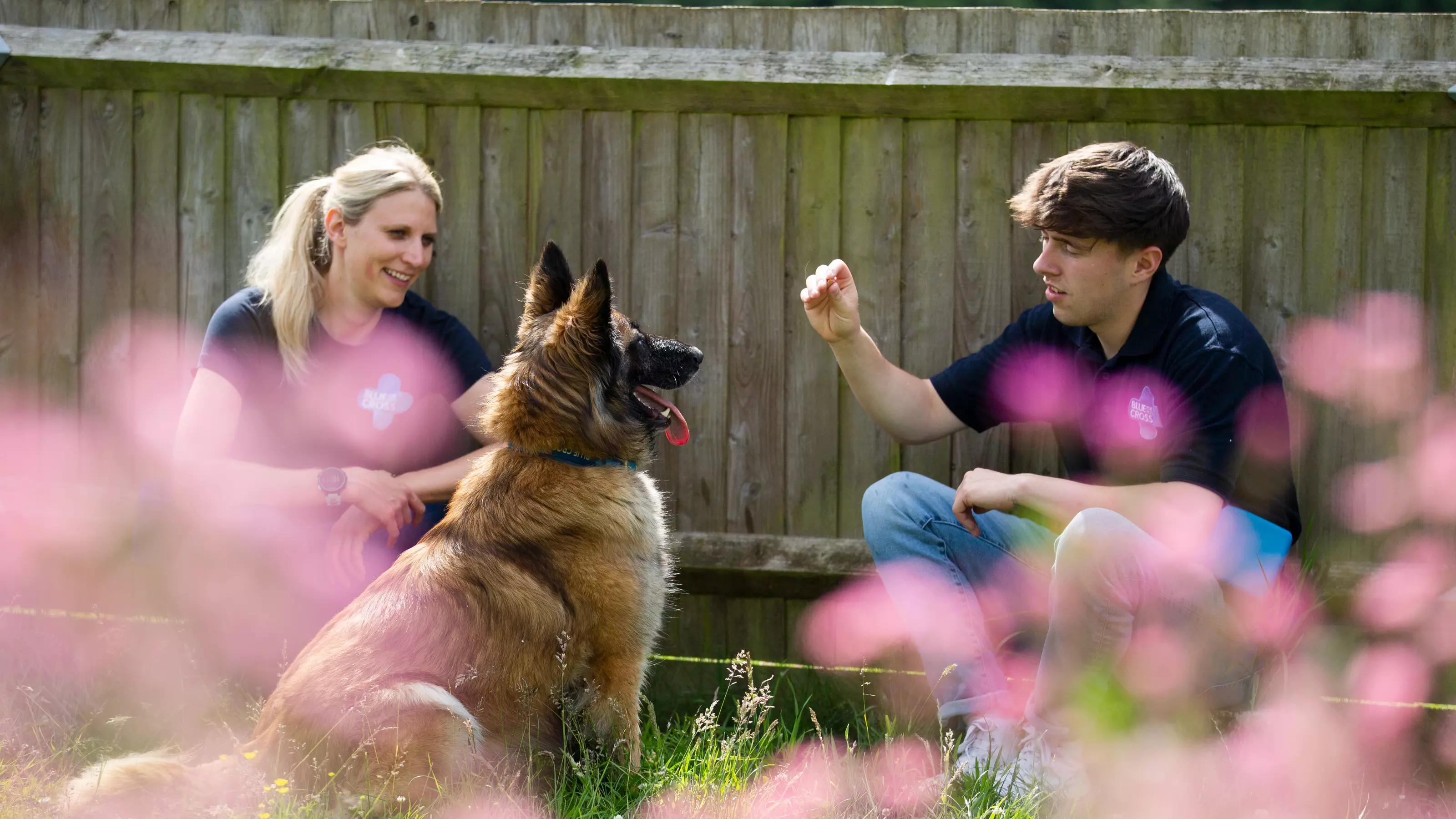 Blue Cross behaviourist Becky Skyrme and Blue Cross trainer Thomas Rainbow look towards a German shepherd dog who sits in between the pair. Thomas has his hand, containing a treat, raised as the dog sits and looks at Thomas.
