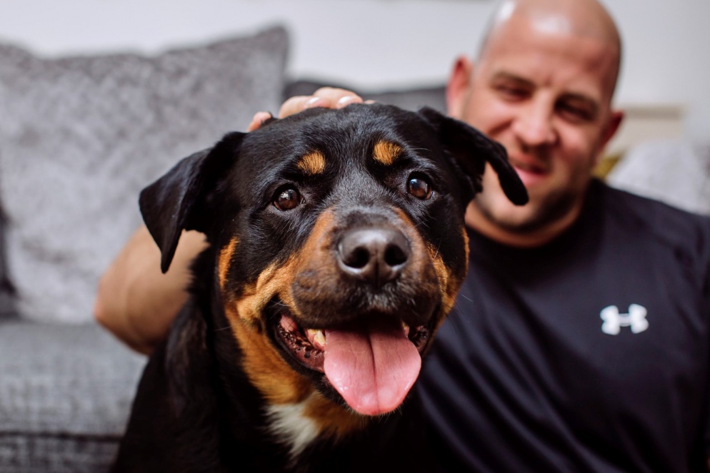 Kaiser the dog sitting with his owner
