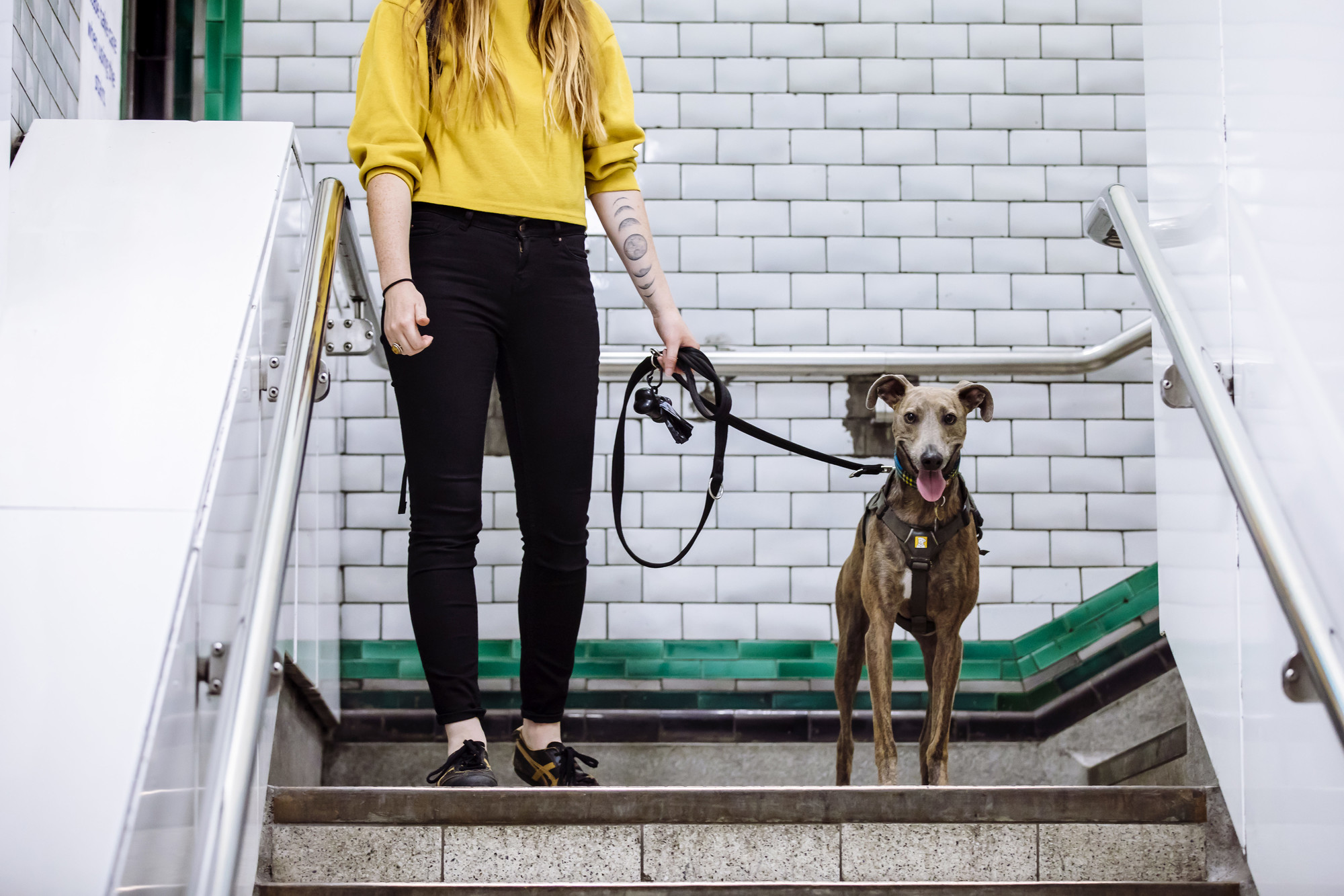 Brindle lurcher with owner walking down steps at station