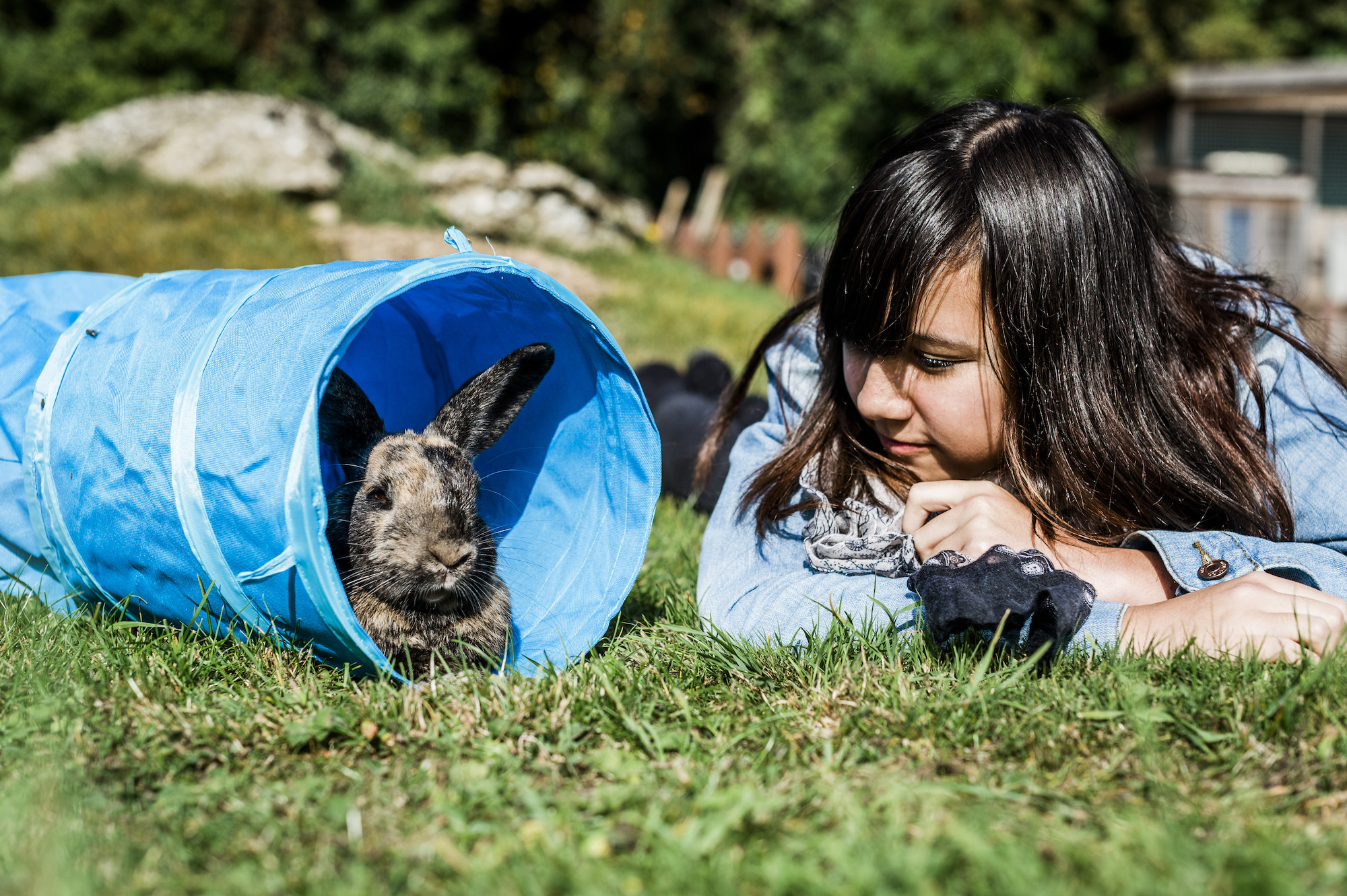 A young girl looks at a rabbit in a blue tunnel