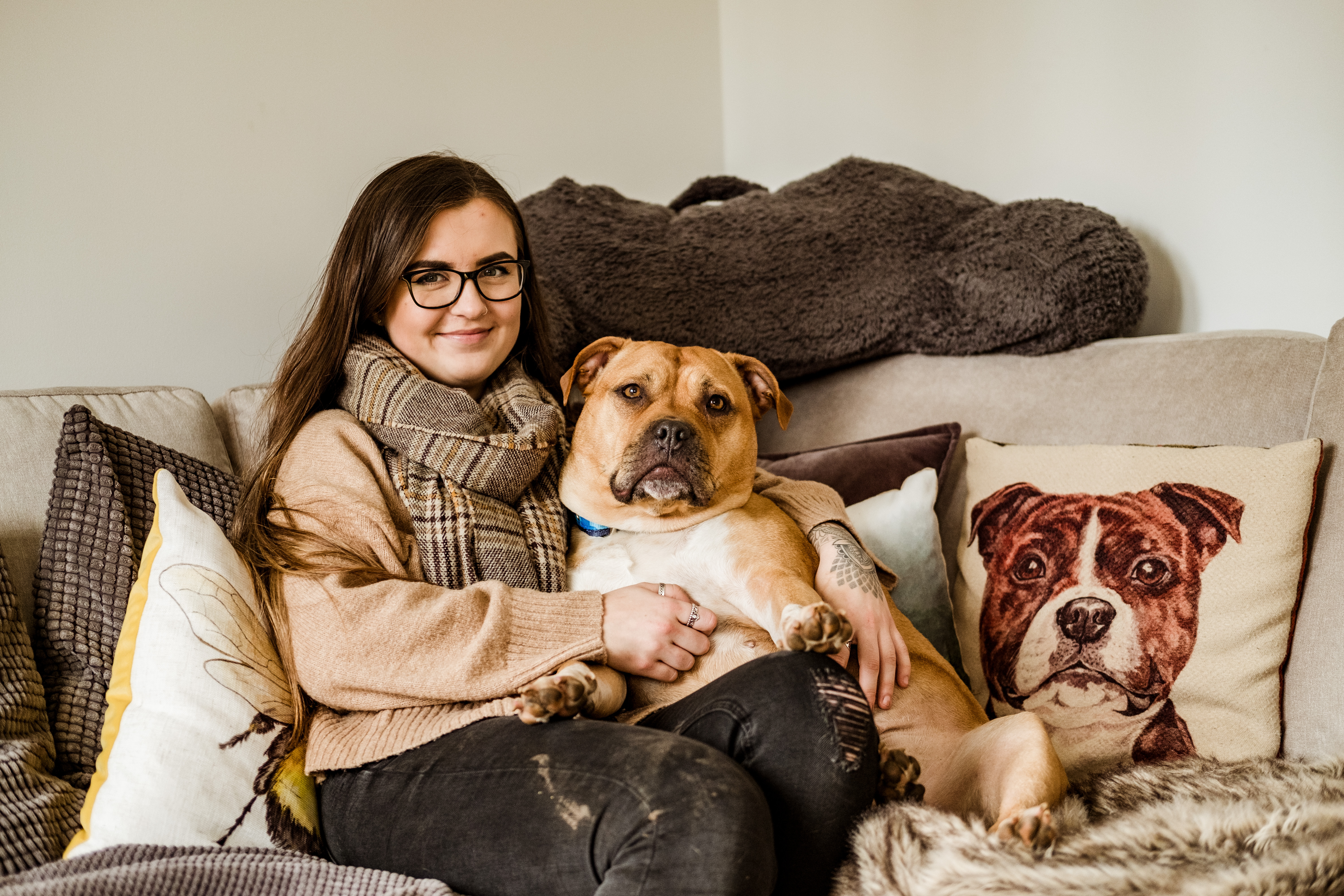 Staffordshire bull terrier with owner on sofa