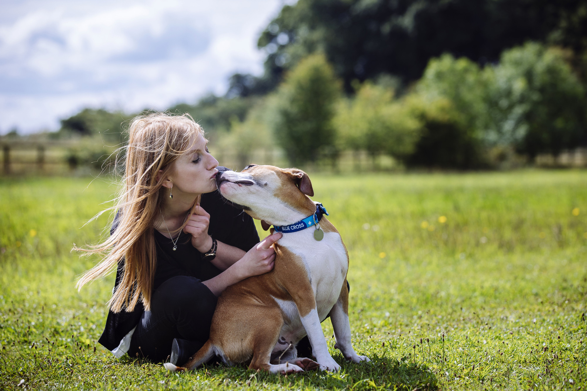 A brown and white staffie gives his female owner a kiss