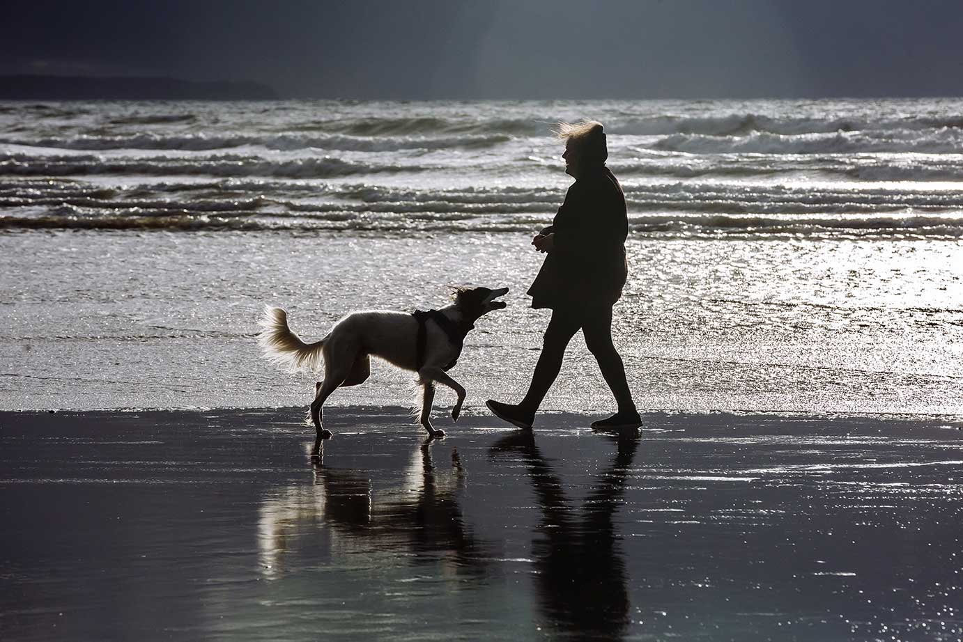 Woman and dog in silhouette on the beach 