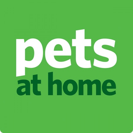 guinea pig adoption pets at home