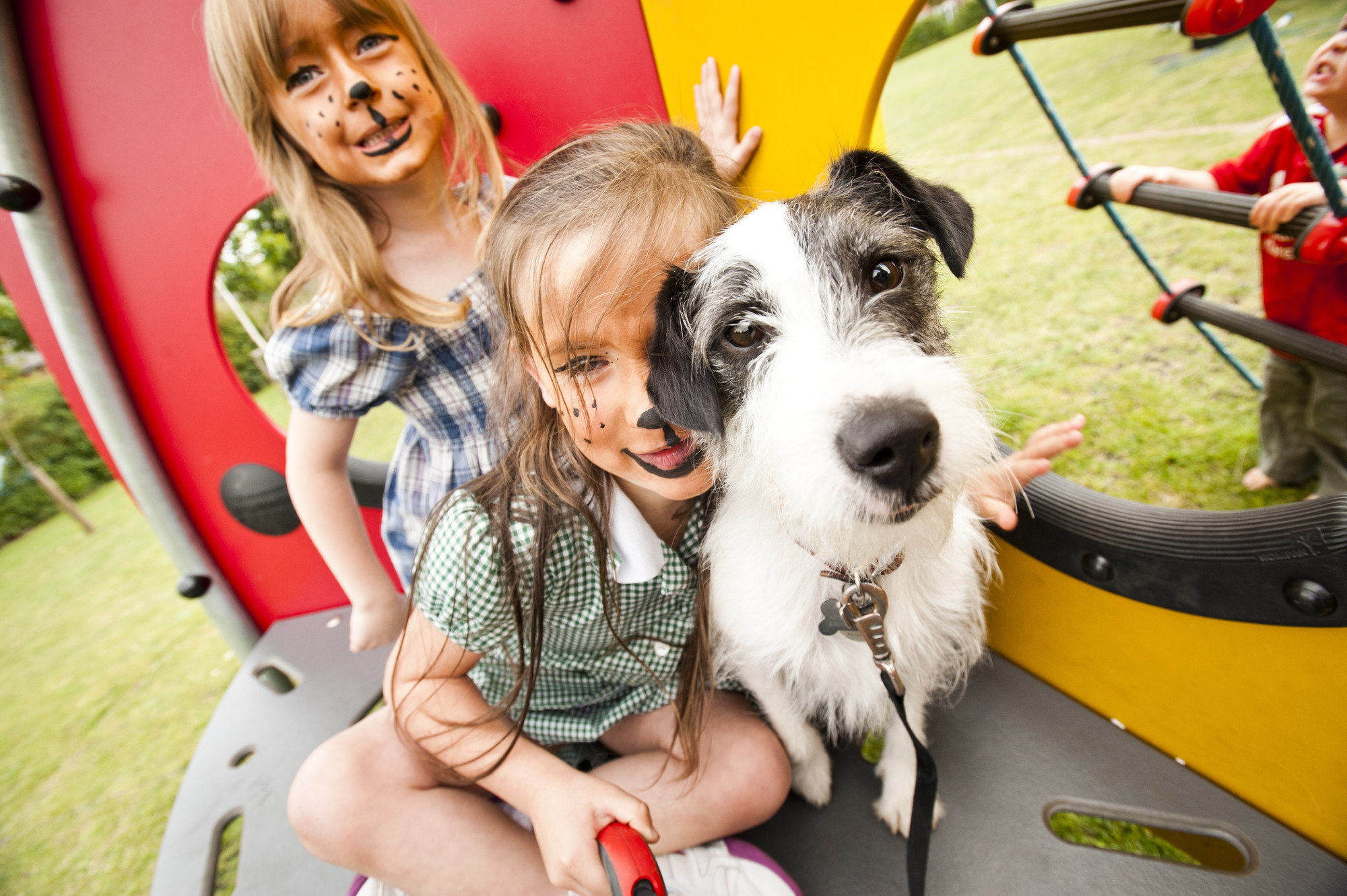 Jack russell looking into camera with two children with facepaint on behind them