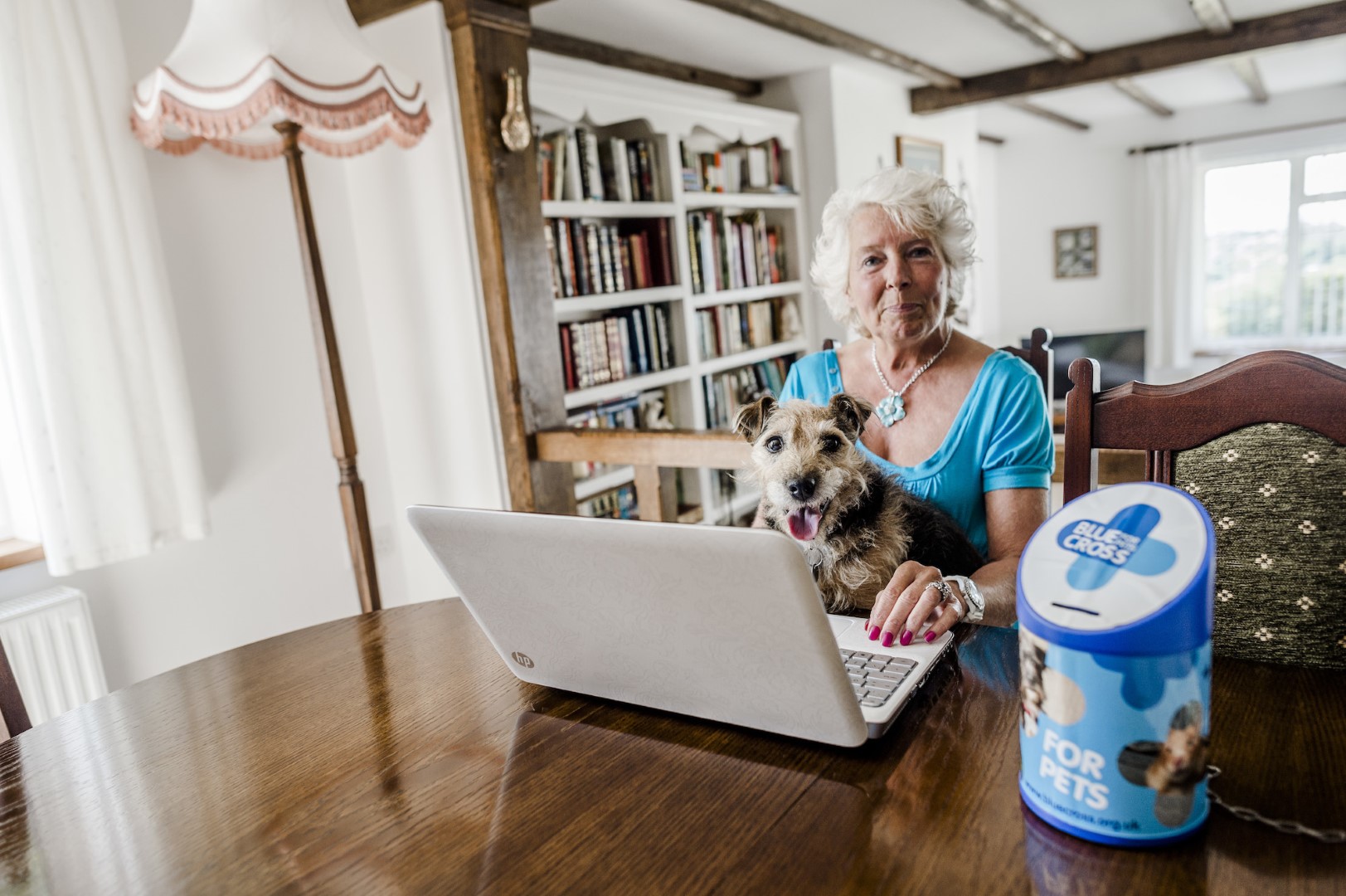 Female fundraiser with dog and laptop