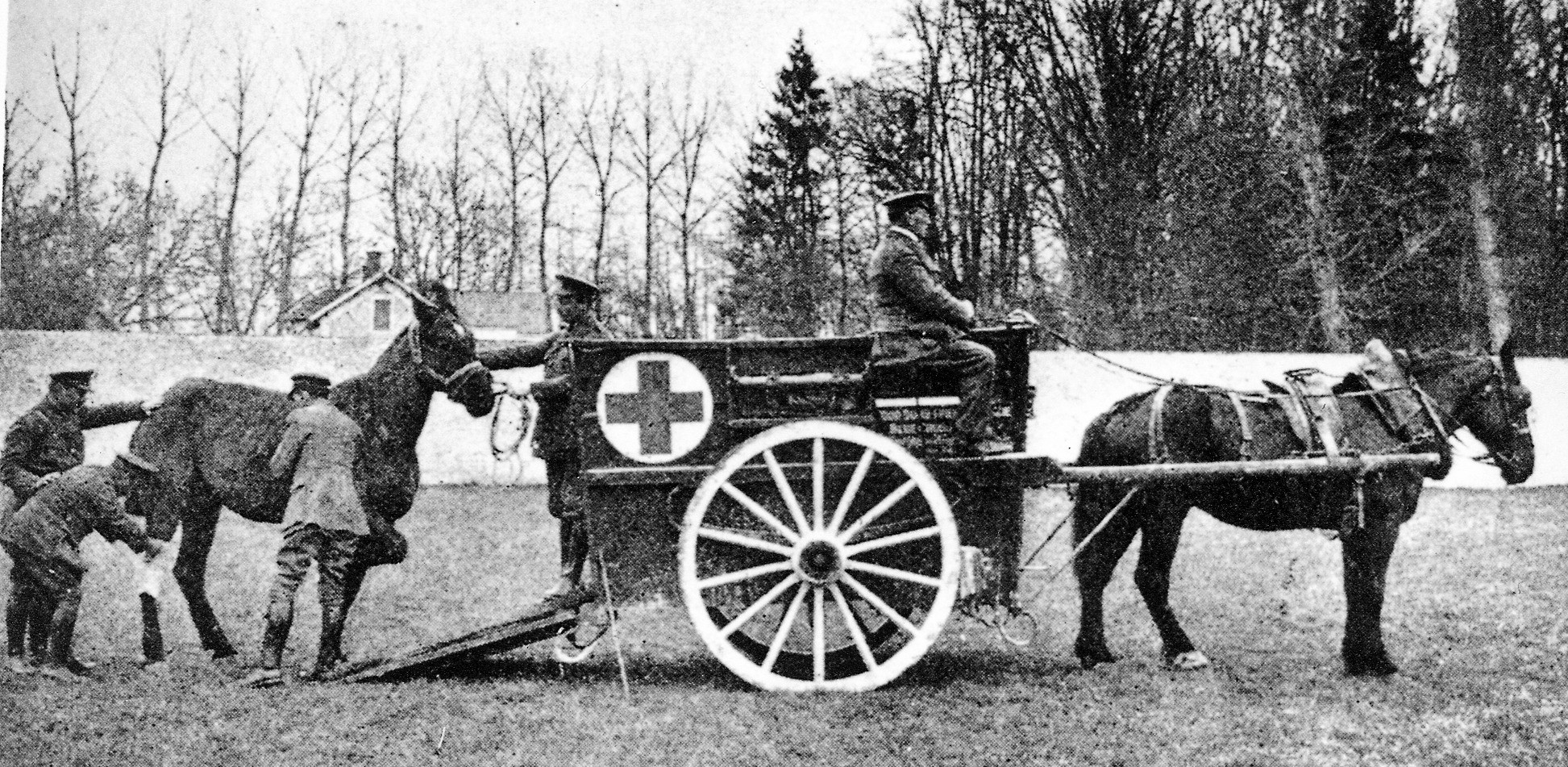 Blue Cross workers lead an injured horse towards a Blue Cross horse ambulance, which is driven by another horse, in France during the First World War