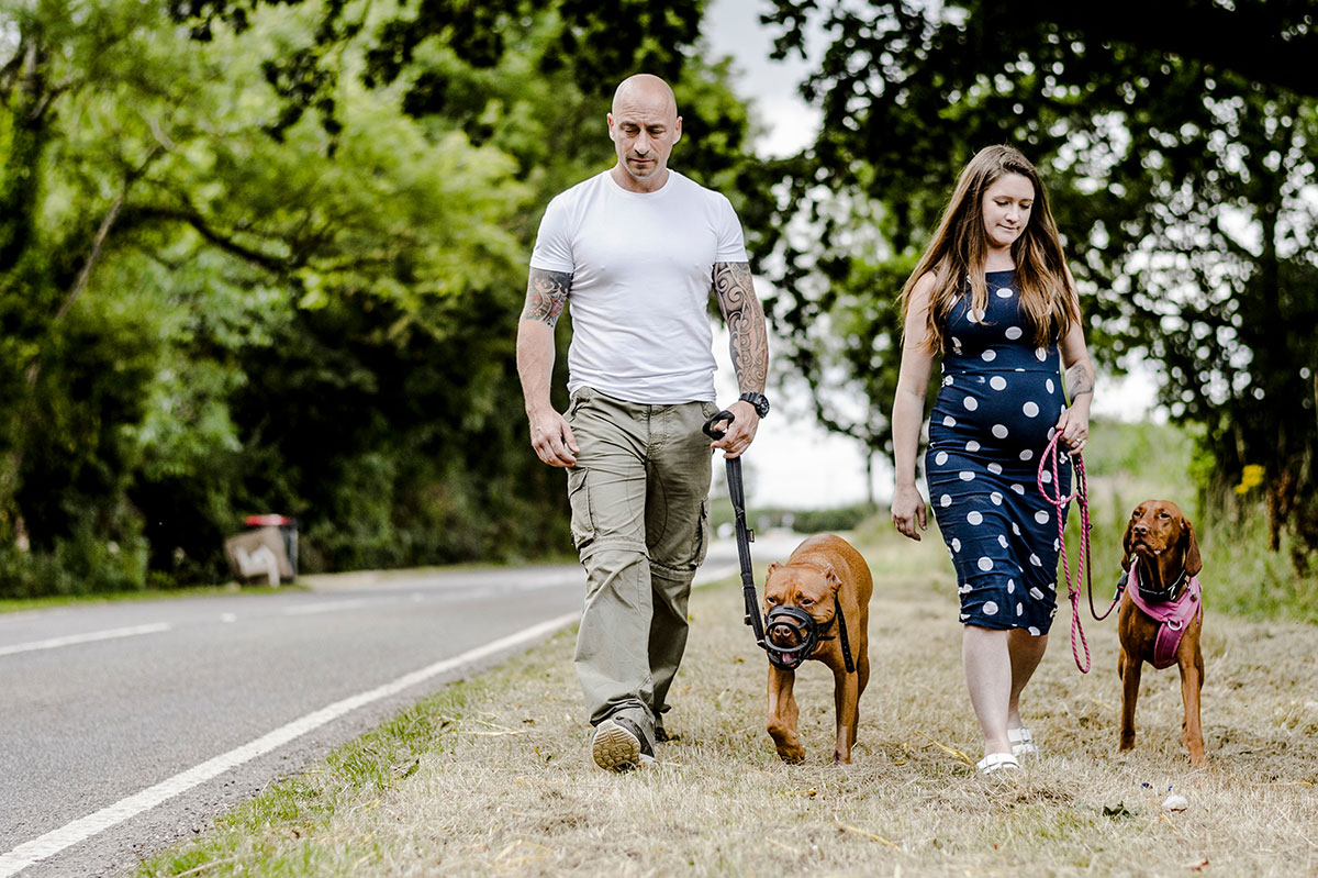 Archie the pitbull terrier on a walk