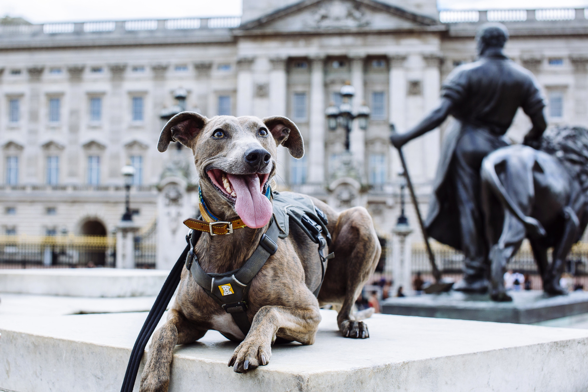 Flynn at Buckingham Palace