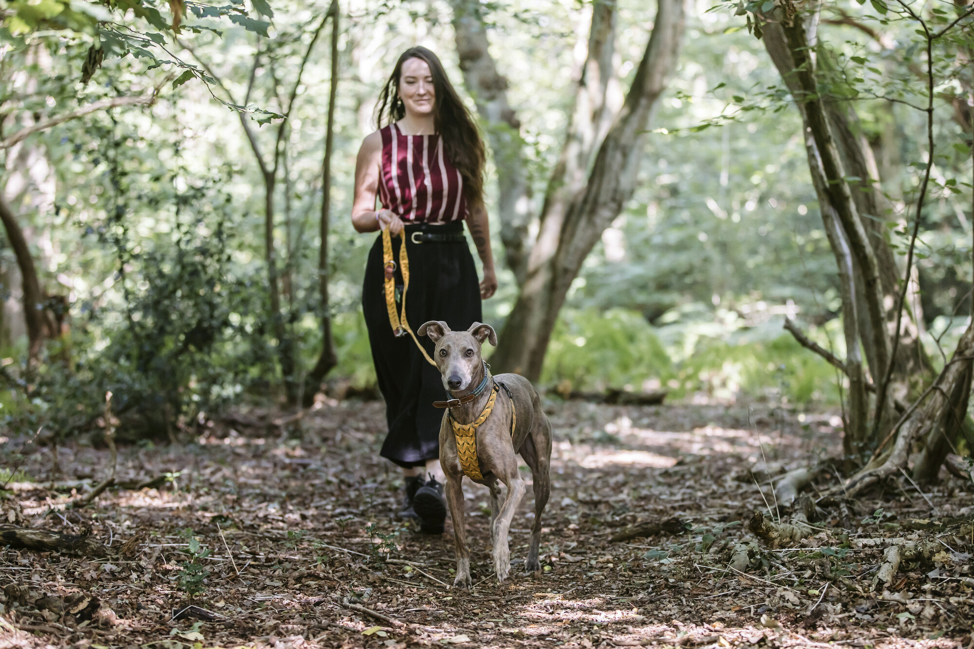 Flynn walking through a woodland with owner Jade