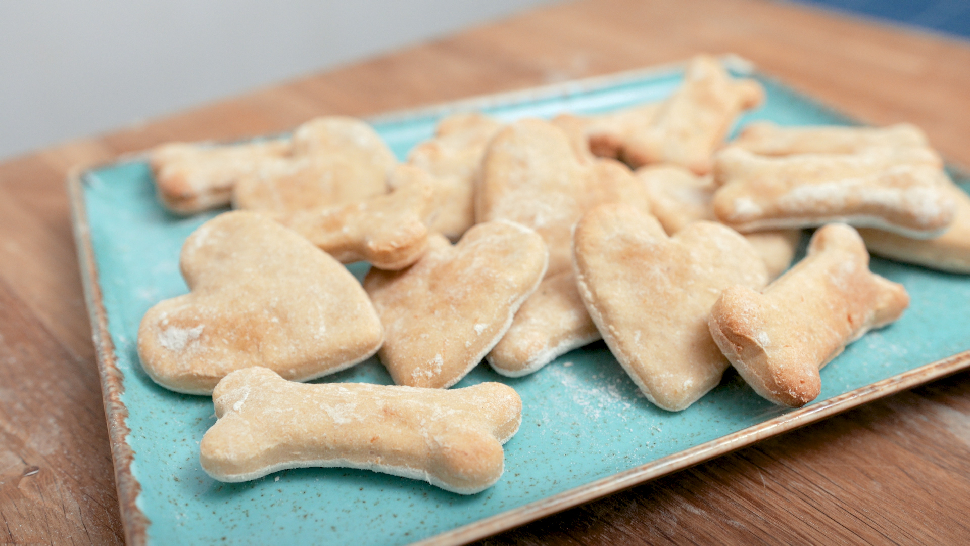 Bone and heart shaped dog biscuits on a light blue plate