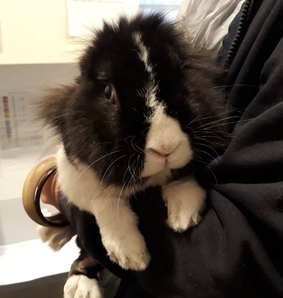 Pimms when he arrived at our Victoria hospital