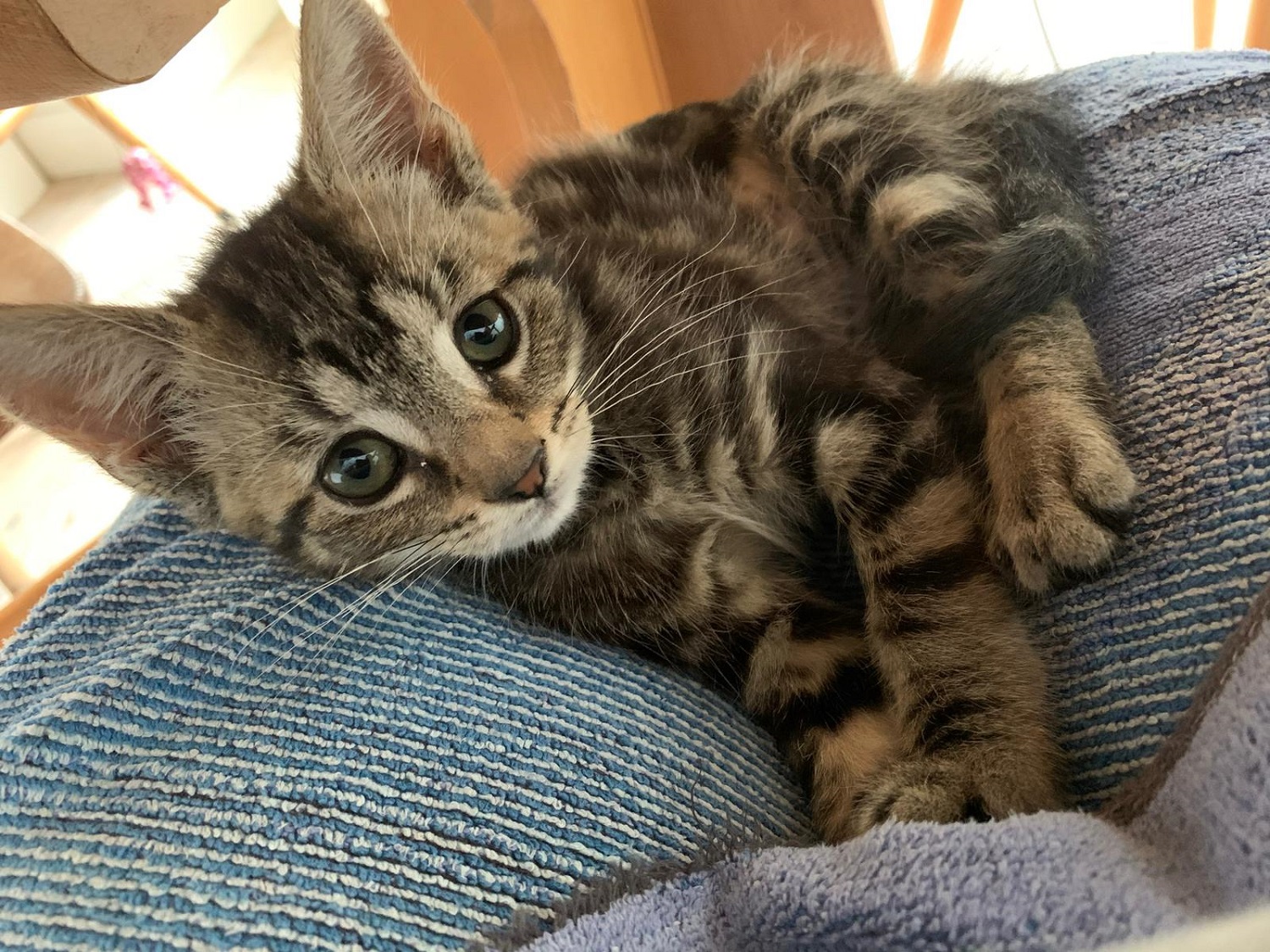 Marie shows signs of improvement in her foster home