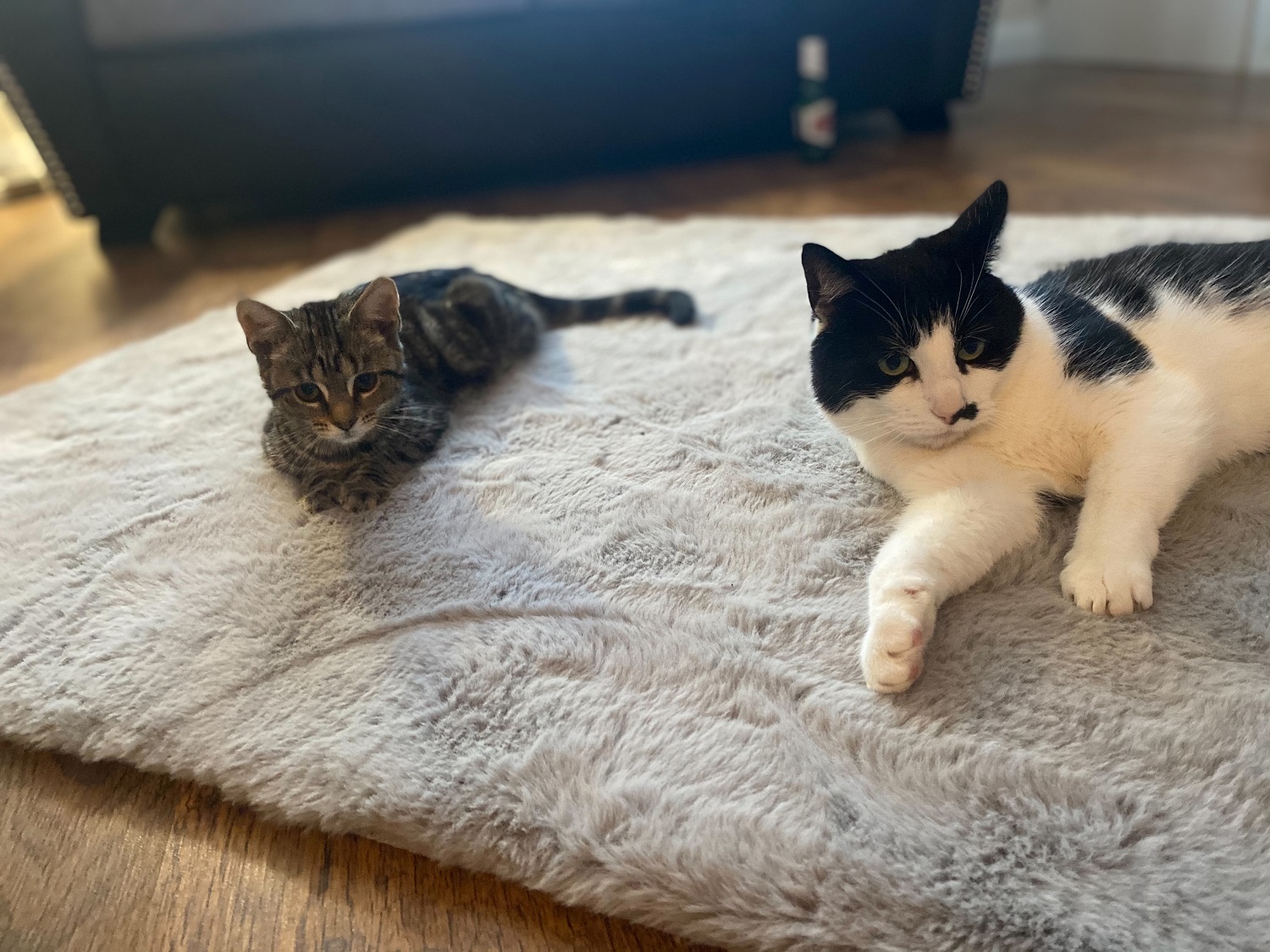 Marie and Percy