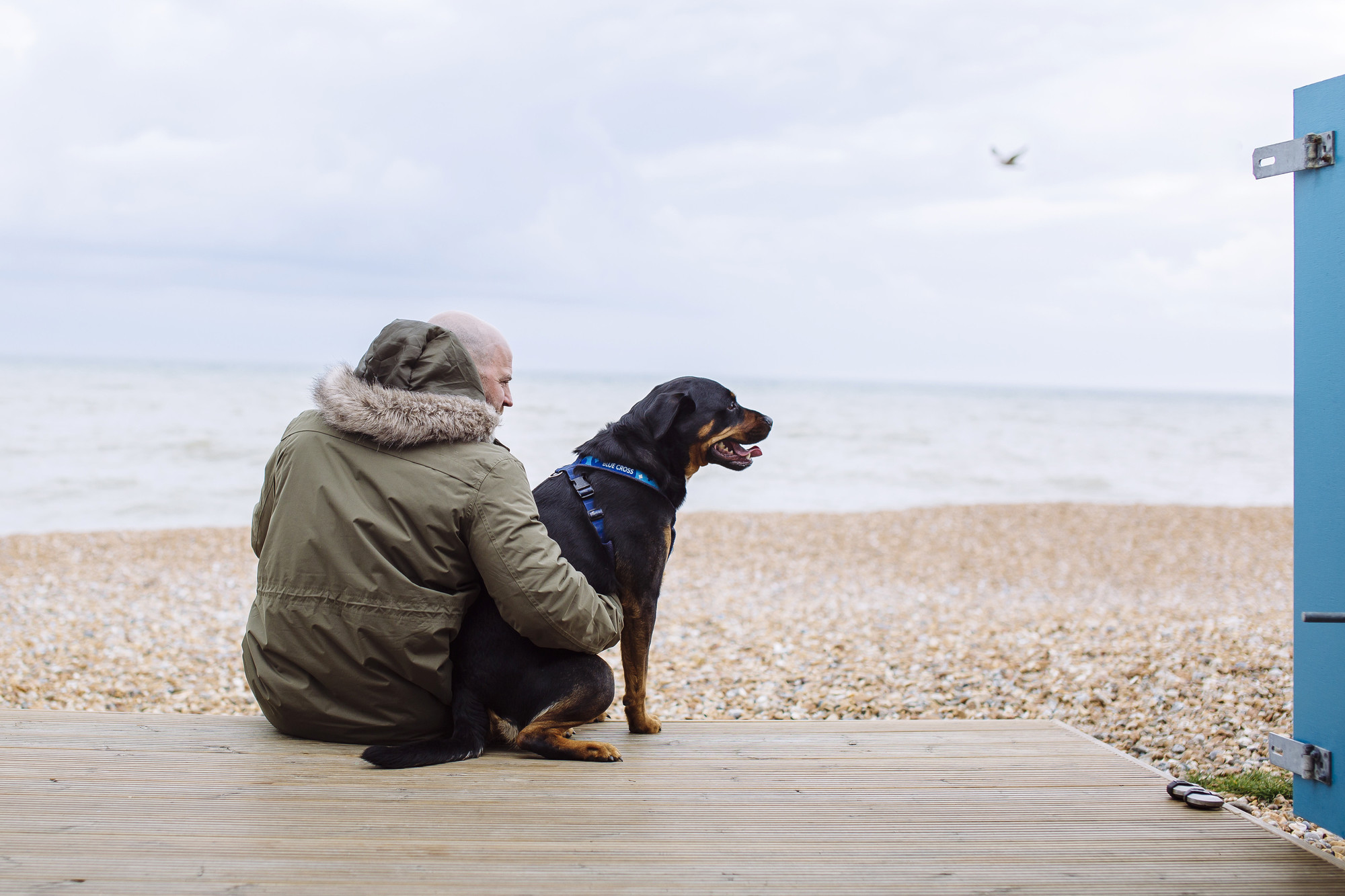 A man and his dog looking out to sea