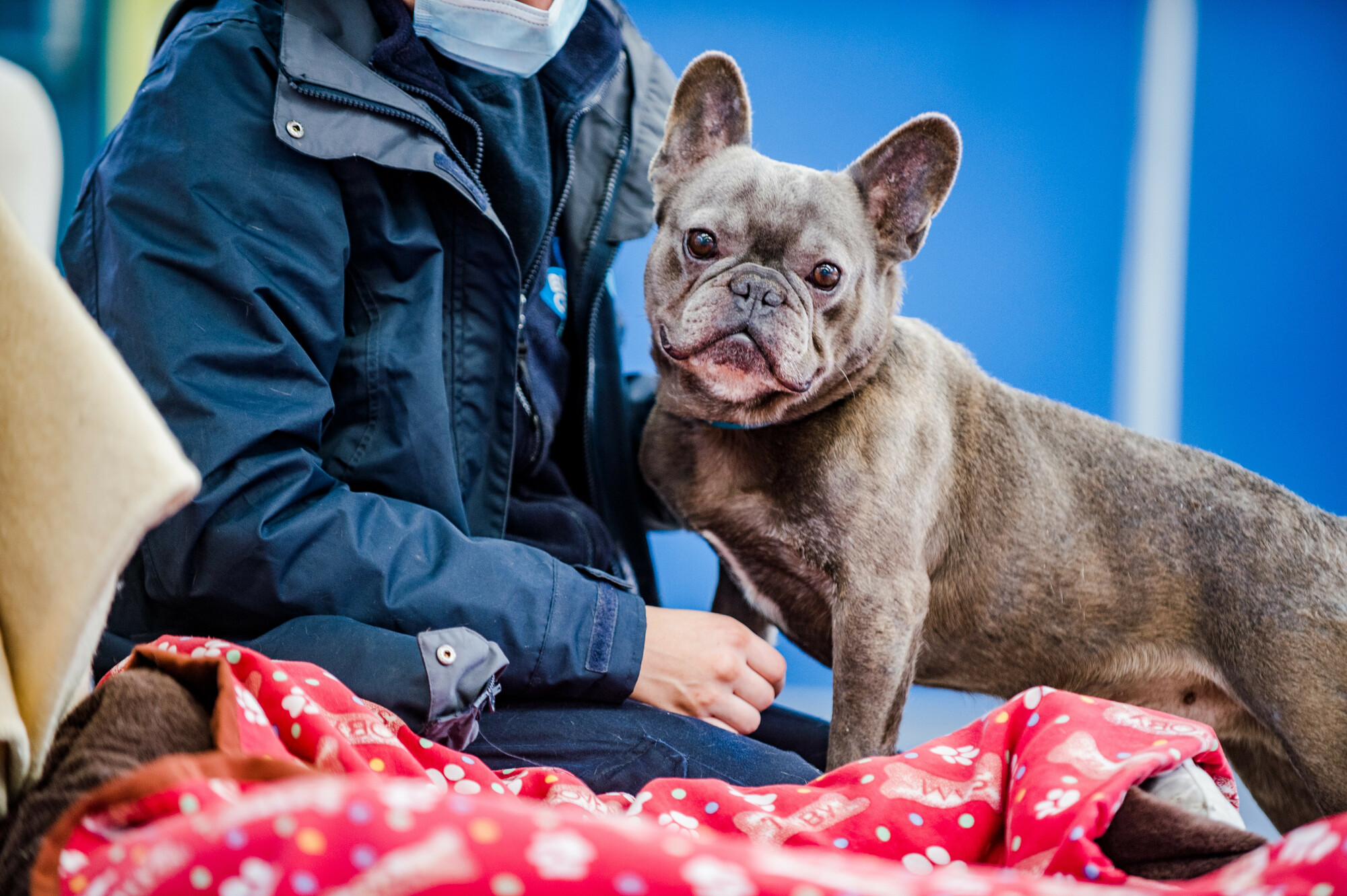Leonard enjoying a fuss from the team, looking straight to camera
