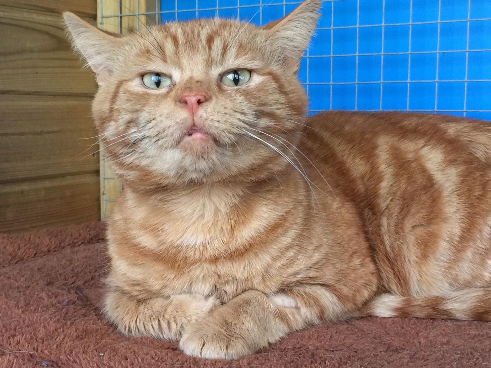 Charlie looking to camera with his chin up