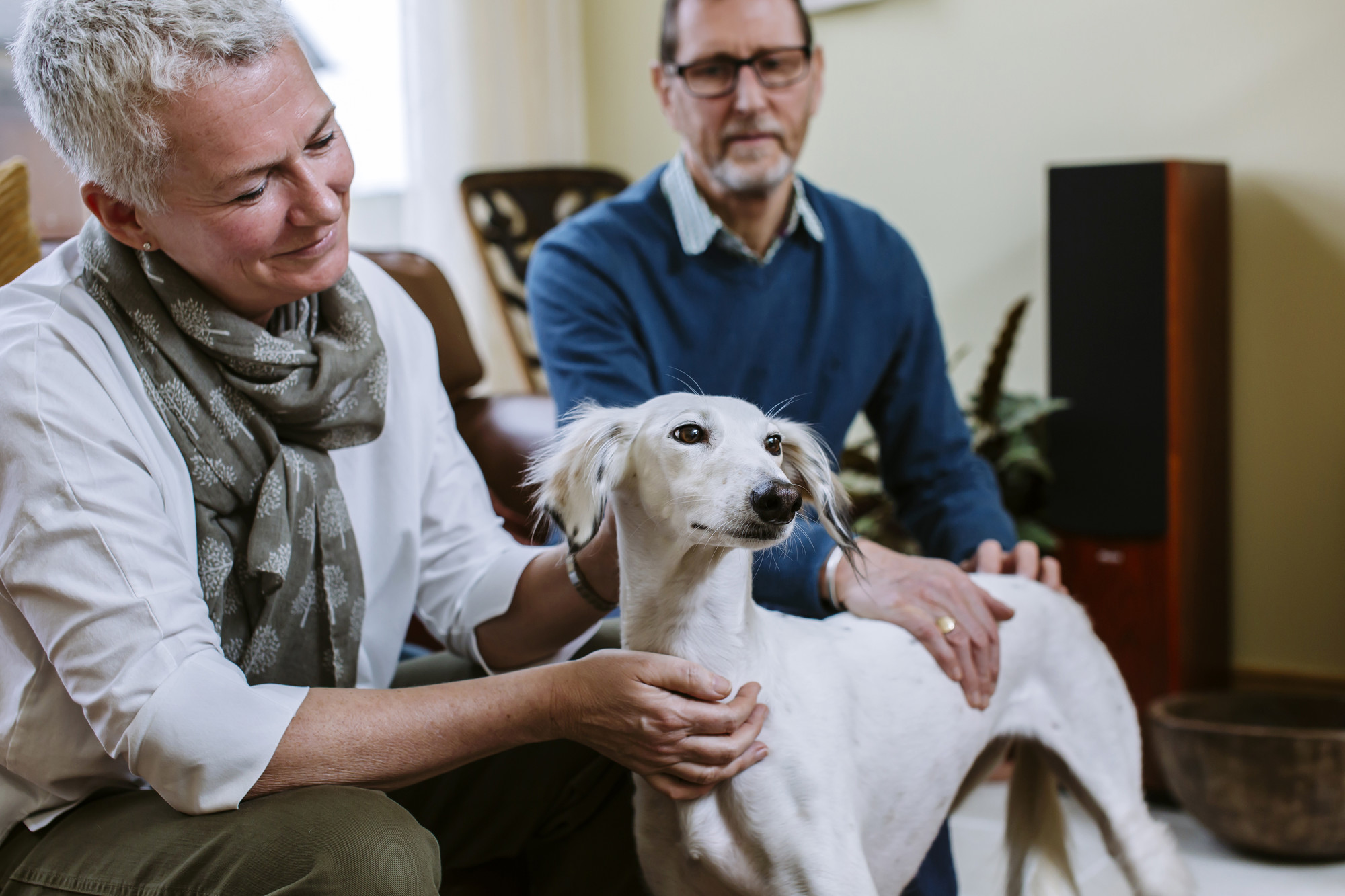 Kadie with her new owners getting  a fuss