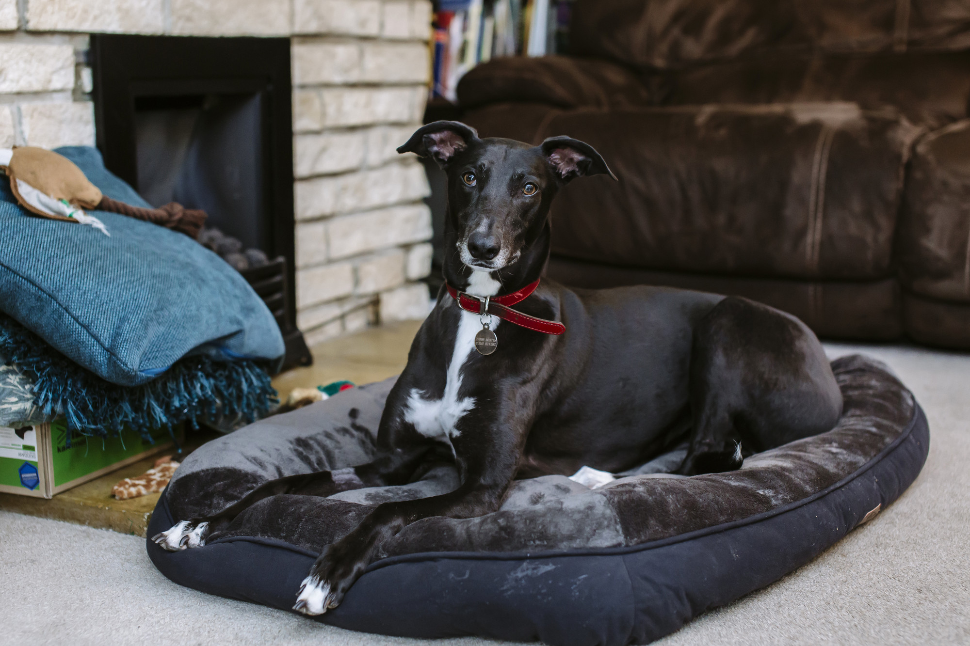 Lucie relaxing on a bed in her new home