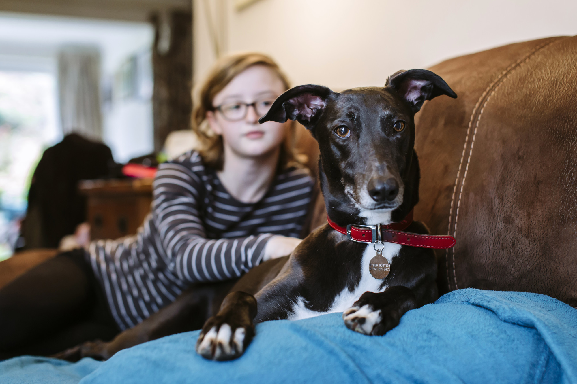 Lucie lying on the sofa in her new home