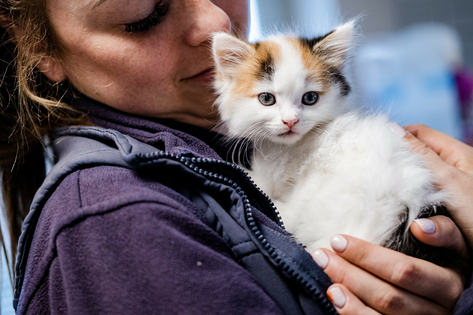 Kitten Widget with Amy Neale, who helped to foster her