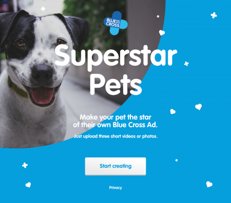 Superstar pets app