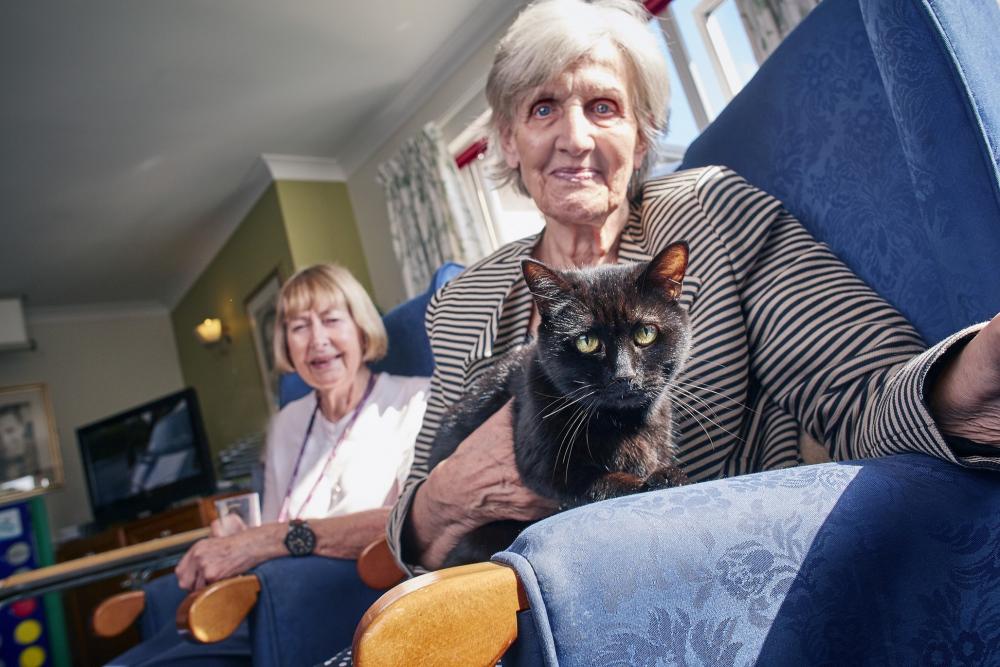 two people and a cat