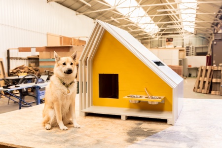 a dog next to BowWow Haus 