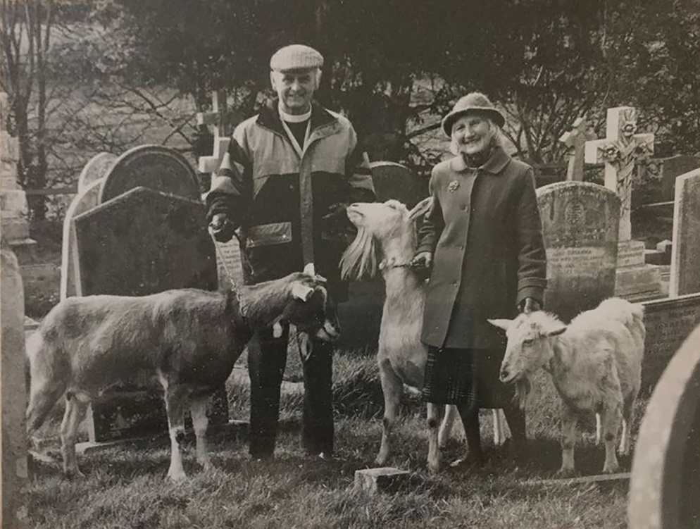Black and white photo of a man and woman, and three goats