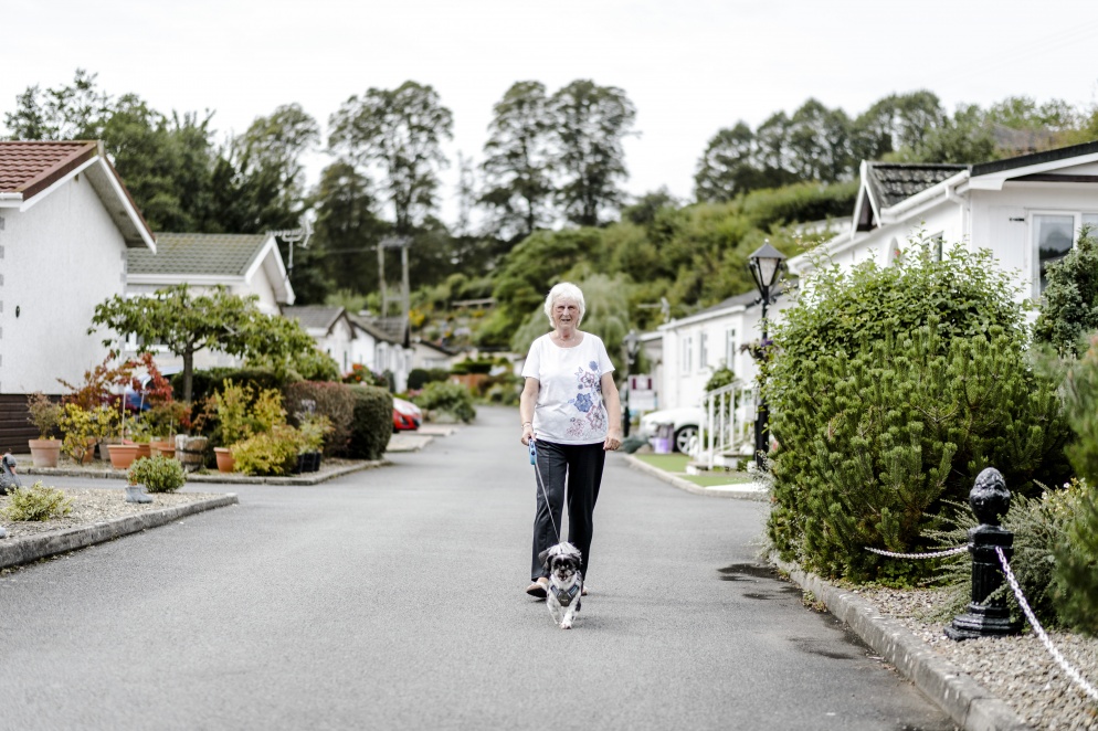 a woman and a dog in a quiet residential street