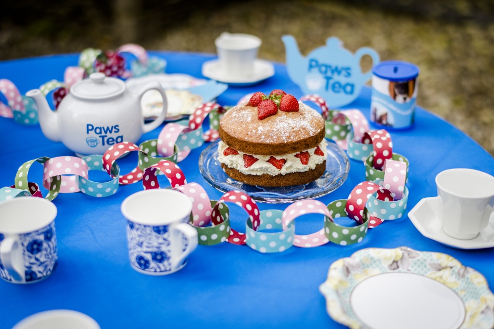Tea party outside