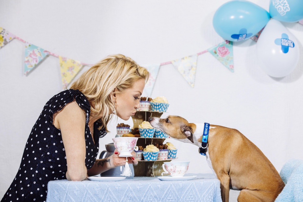 Gemma Harding Paws for Tea 2