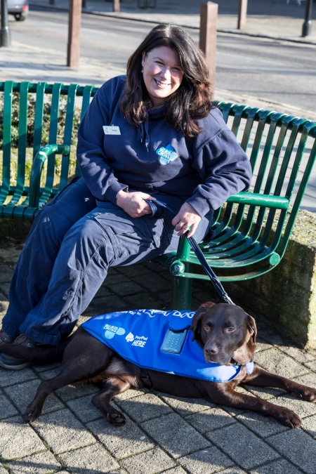 Tap Dogs are behaviour-assessed Blue Cross event dogs, mainly owned by dedicated volunteers, who attend events to raise awareness of many different aspects of pet welfare