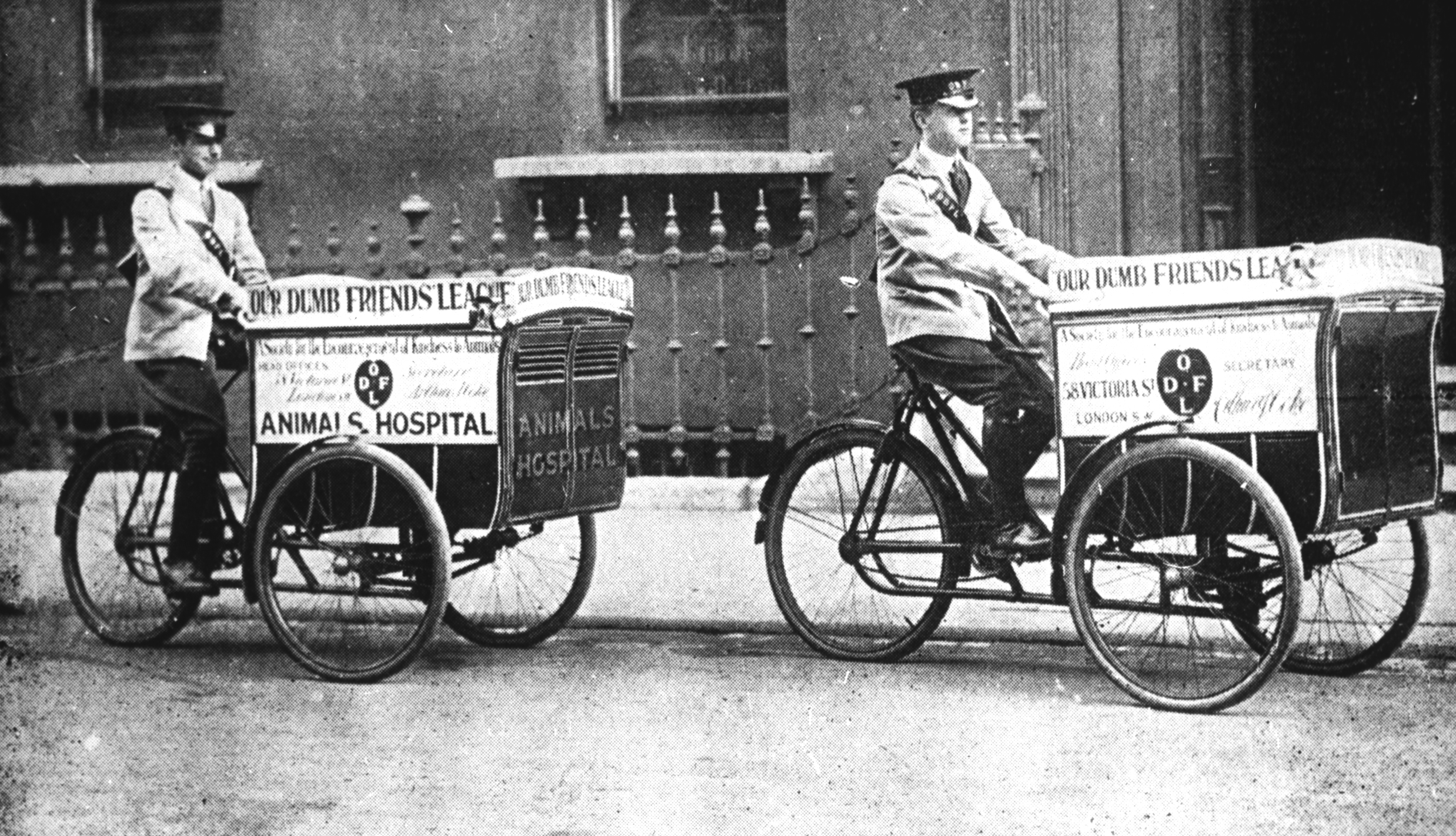 A historic black and white image of two men cycling small animal ambulances