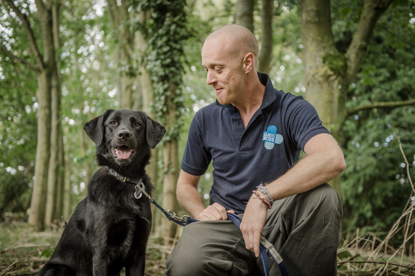 Black dog looking at the camera in woodland area, with a Blue Cross member of staff