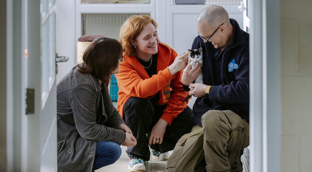 Boy strokes kitten in Blue Cross employee's arms