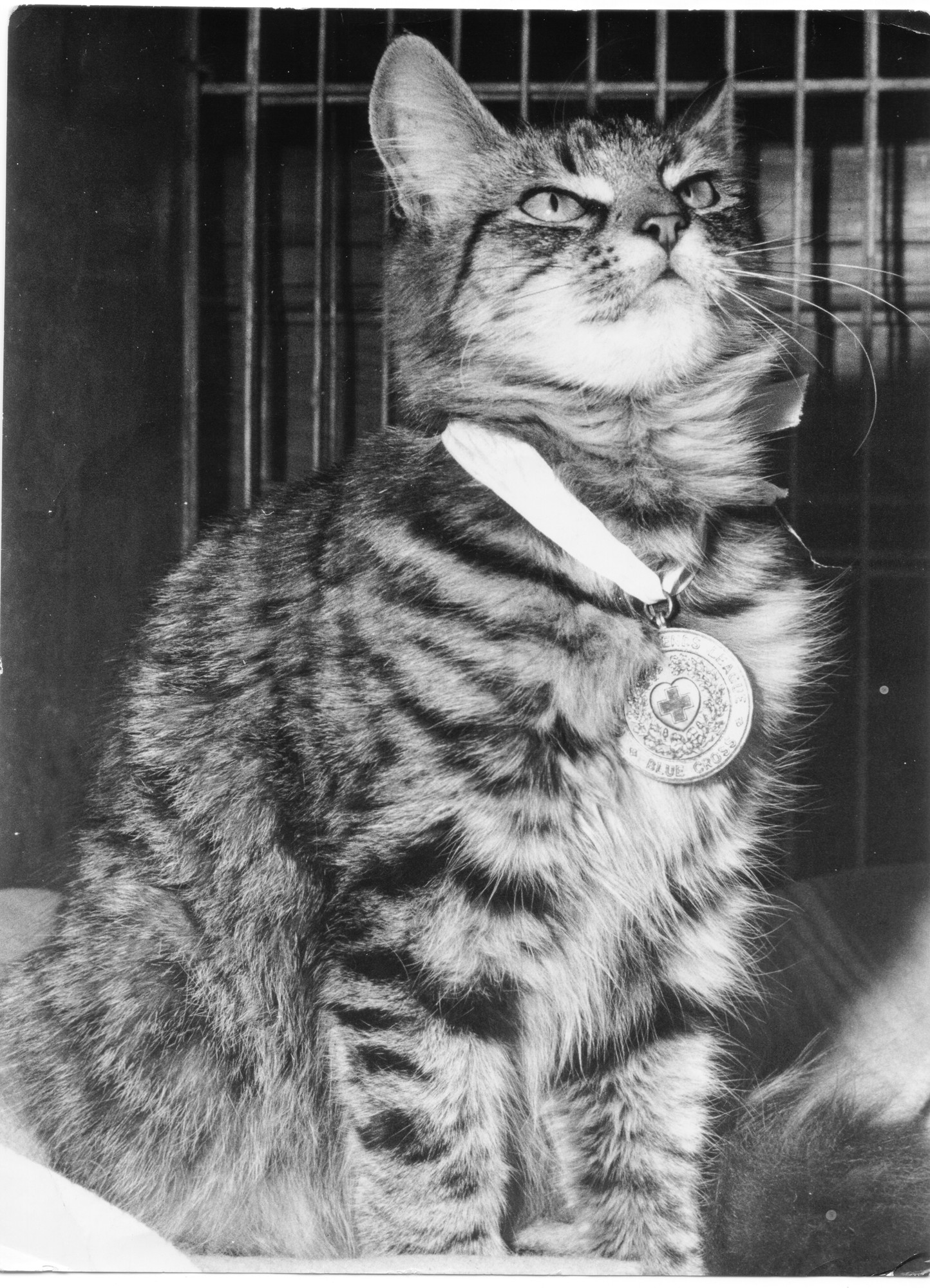 Jim wearing his Blue Cross medal