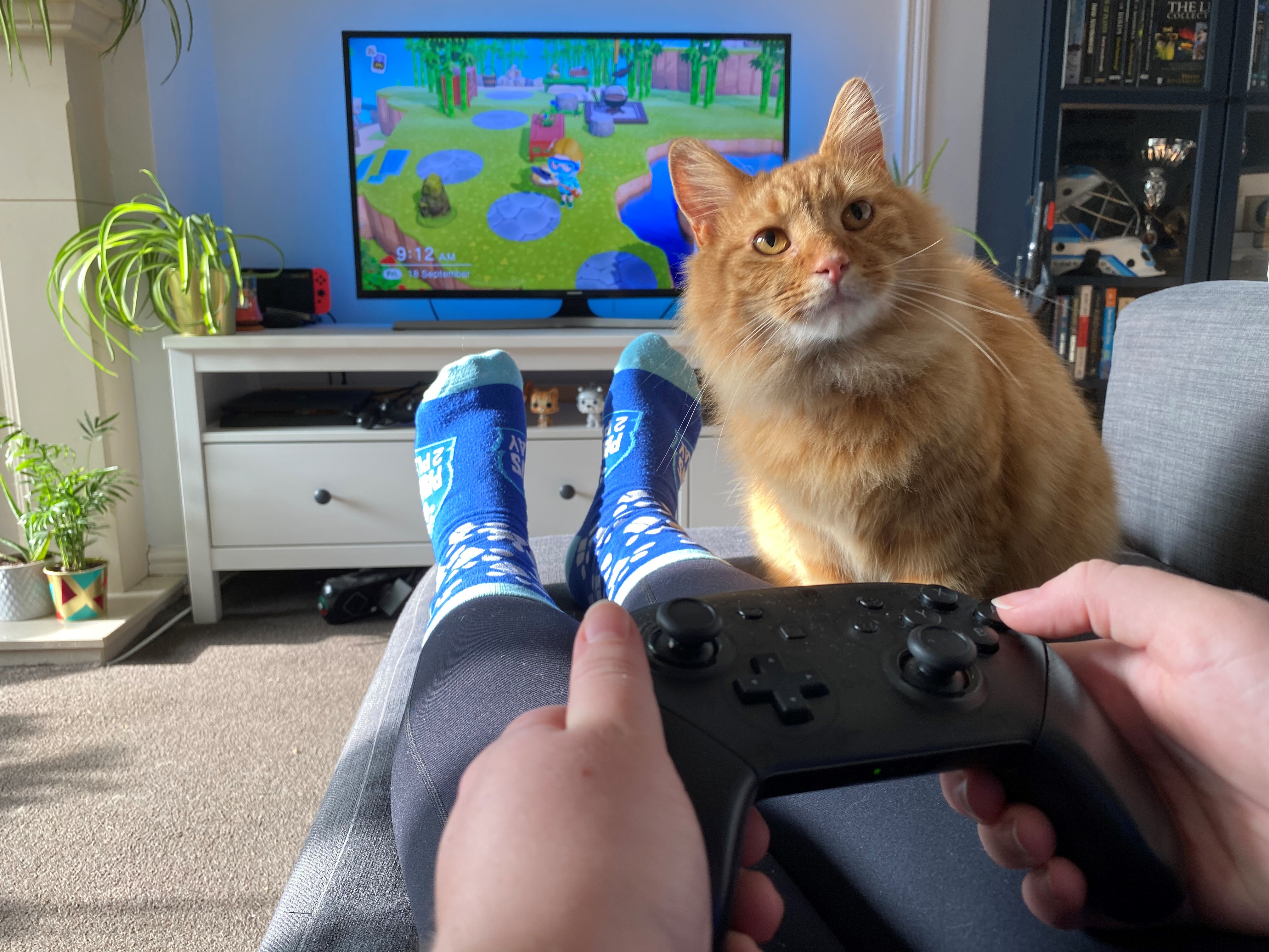 Gamer with control in hands with pet cat by their side