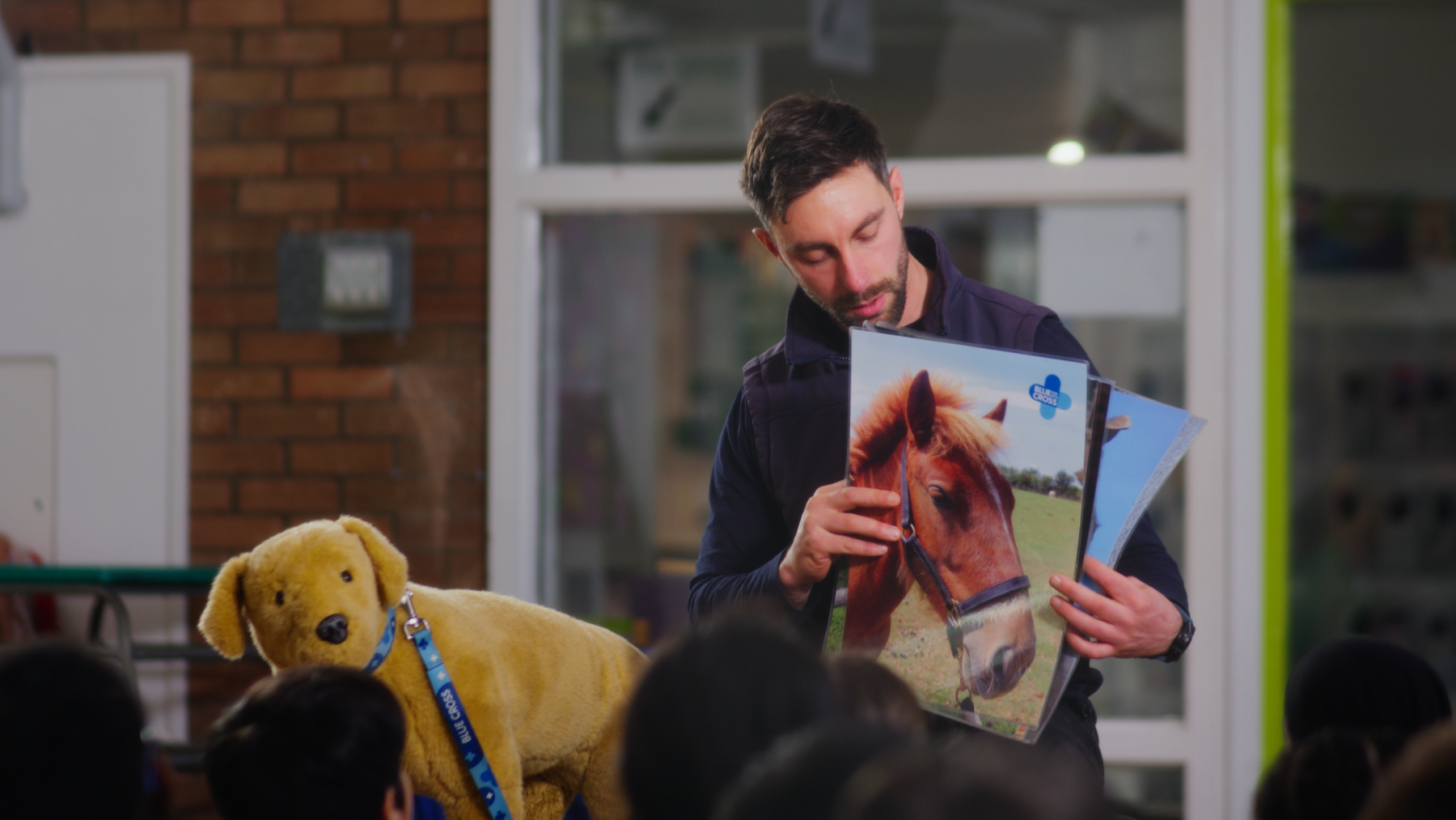 One-Time Donations - Animal Education & Rescue