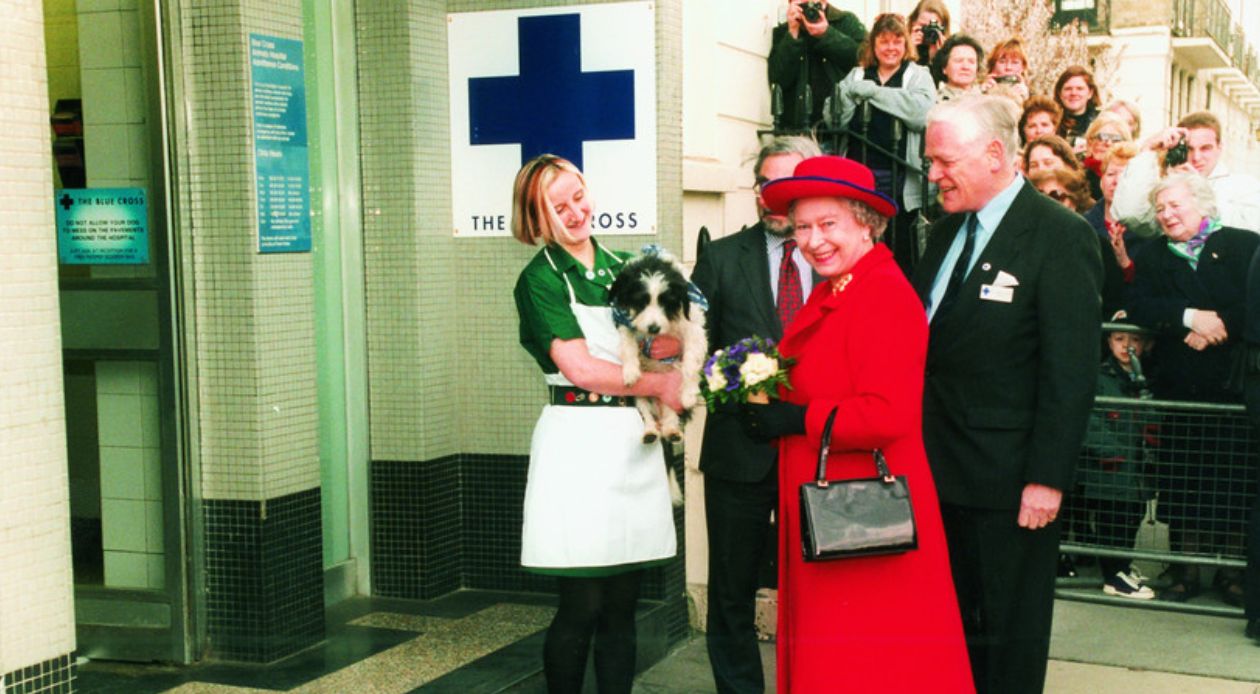 The Queen greets some of our Blue Cross team outside the doors of our London Victoria animal hospital