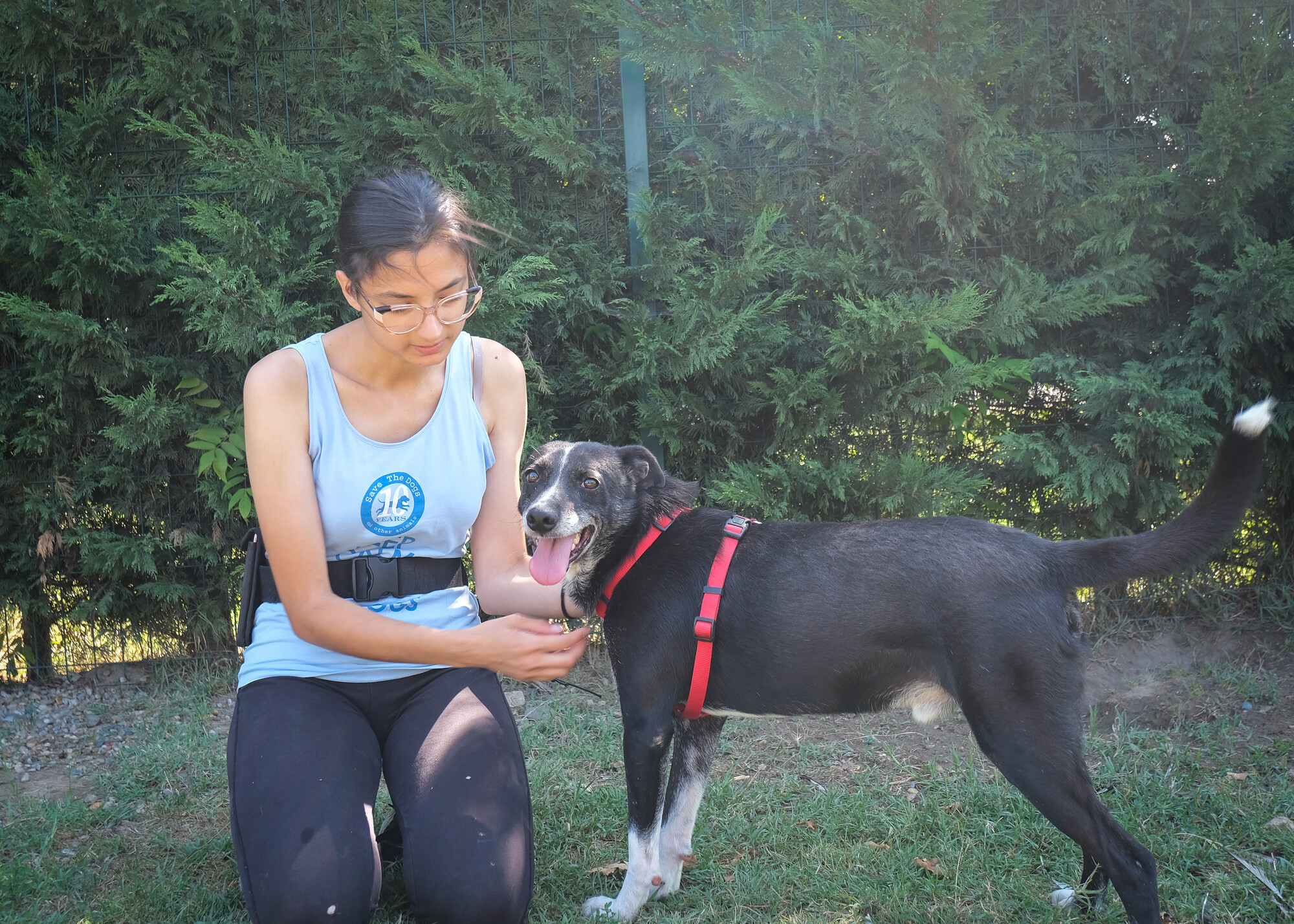 Tymon standing and wearing a red harness next to a Save the Dogs worker wearing a blue t-shirt